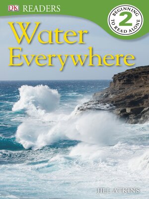 cover image of Water Everywhere
